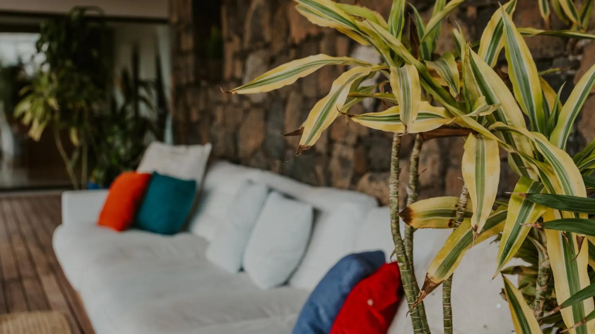 Guest house Villa Shepherd Lajares - Luxury Villa Fuerteventura Spain